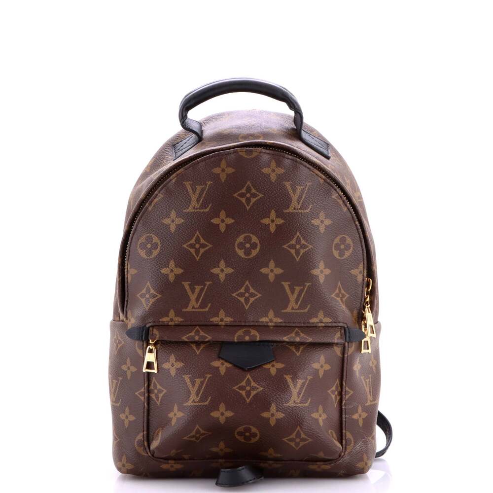 Louis Vuitton Palm Springs Backpack #366506L17B